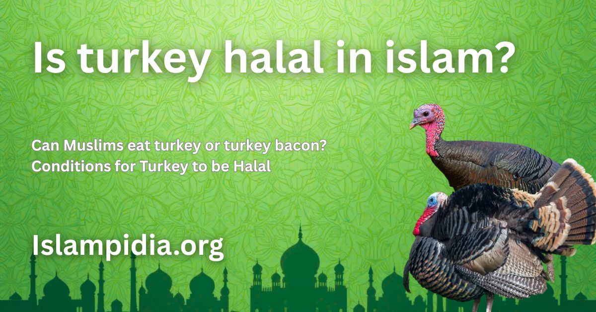 Is Turkey Halal in Islam