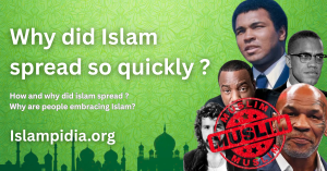 Why did Islam spread so quickly?